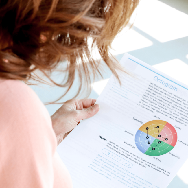 Assessment LEV hr-professionals dienstverlening